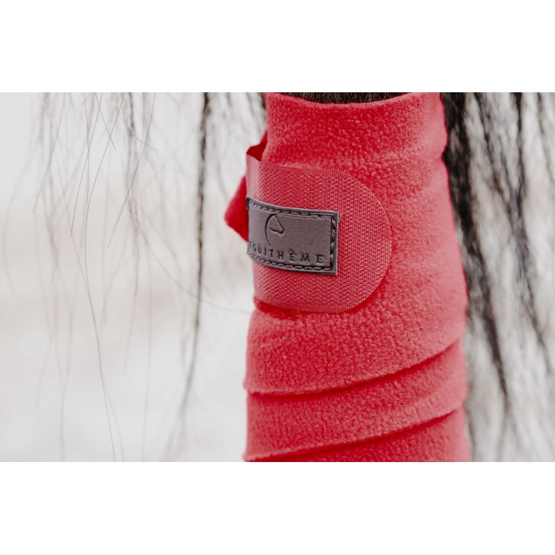 Bandes de polo EQUITHÈME - 18