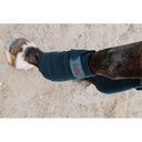 Bandes de polo EQUITHÈME - 30