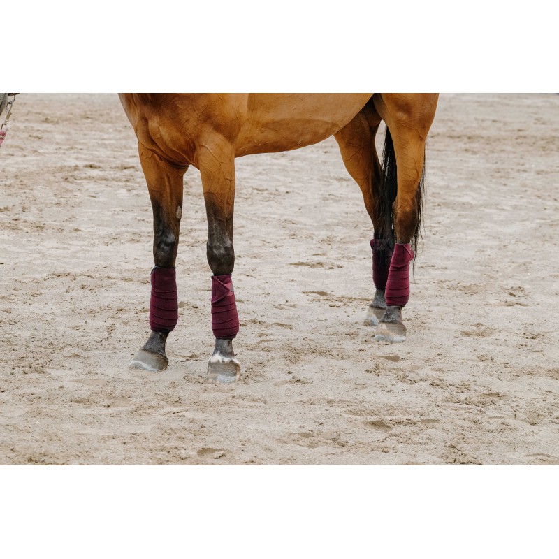 Bandes de polo EQUITHÈME - 36