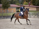 Veste de concours EQUITHÈME "Bordo"