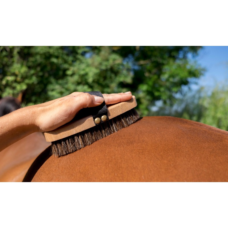 Brosse extra-douce HIPPOTONIC - 2