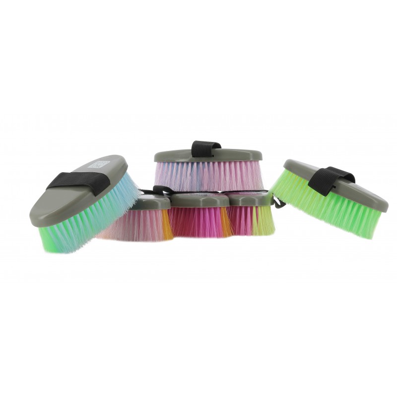Brosses HIPPOTONIC multicolor - 2