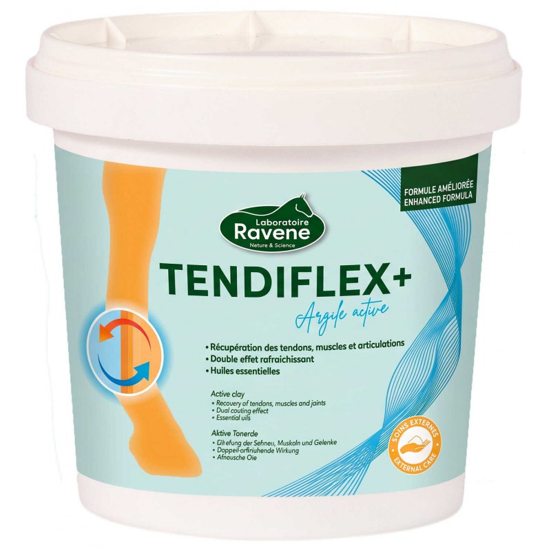 Argile RAVENE -Tendiflex + - 2