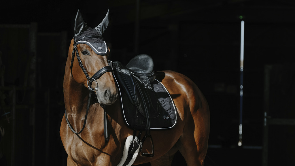 Bonnet chasse-mouches EQUITHÈME "French Touch"