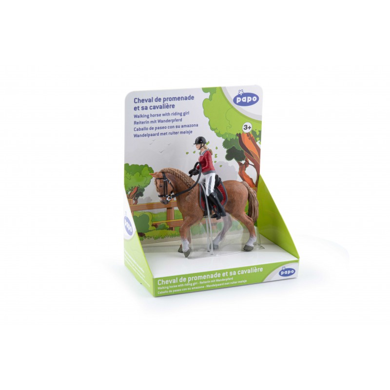 Cheval de promenade et sa cavalière PAPO - 7