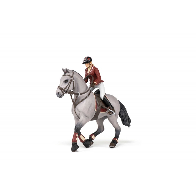 Cheval de concours et sa cavalière PAPO - 3