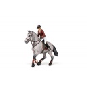 Cheval de concours et sa cavalière PAPO - 3