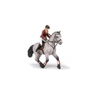Cheval de concours et sa cavalière PAPO - 5