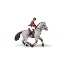 Cheval de concours et sa cavalière PAPO - 6