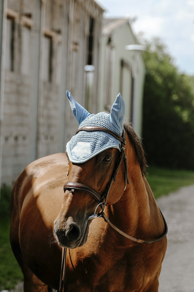 Bonnet chasse mouche EQUITHÈME - Brocart