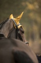 Bonnet chasse-mouches LAMI-CELL "LC"