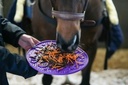 Pâte à lécher LIKIT - Graze Paste