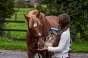 Calendrier de l'avent STUD MUFFINS