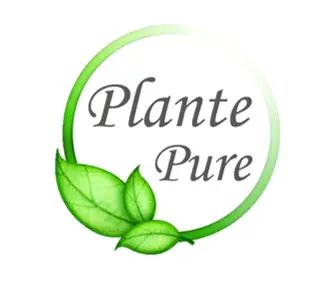 visuel-plante-pure.webp