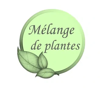 logo-mélange-plantes.webp