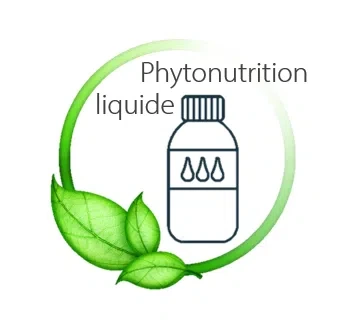 logo-phyto-liquide.webp
