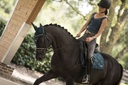 Bonnet chasse-mouches LAMI-CELL "Aurora"