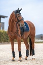 Bonnet chasse-mouches BACK ON TRACK® "Night Collection"