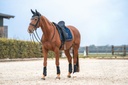 Bonnet chasse-mouches BACK ON TRACK® "Night Collection"