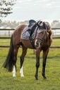 Bonnet chasse-mouches BACK ON TRACK® "Night Collection"