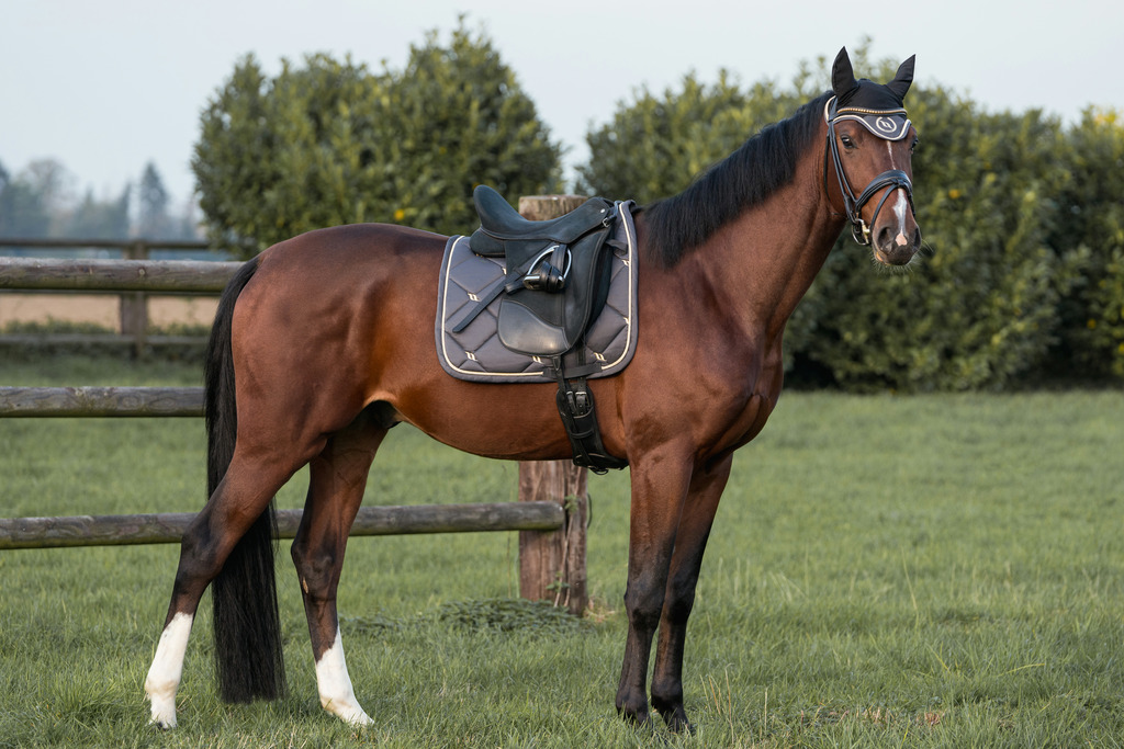 Bonnet chasse-mouches BACK ON TRACK® "Night Collection"