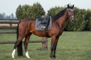 Bonnet chasse-mouches BACK ON TRACK® "Night Collection"