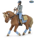 Cheval du jeune cavalier PAPO
