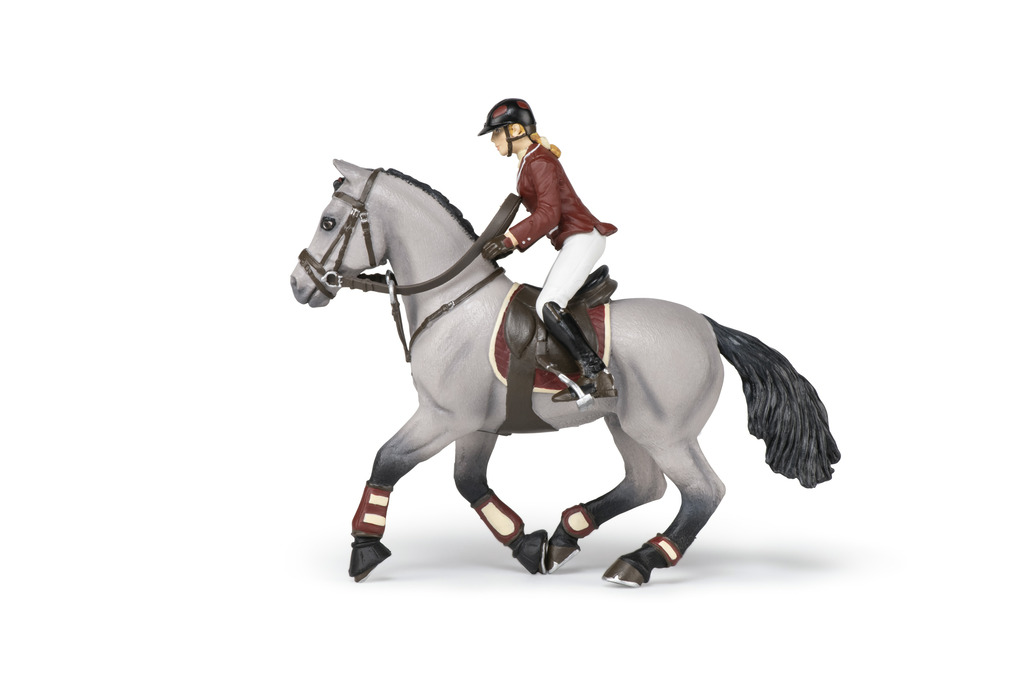 Cheval de concours et sa cavalière PAPO