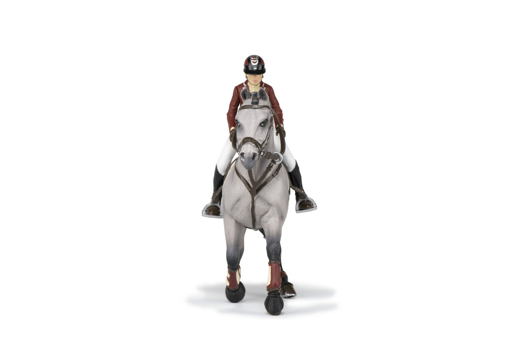Cheval de concours et sa cavalière PAPO