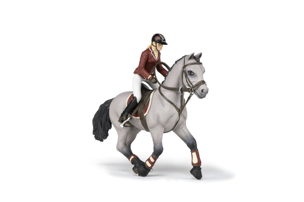 Cheval de concours et sa cavalière PAPO