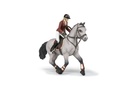 Cheval de concours et sa cavalière PAPO