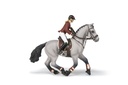 Cheval de concours et sa cavalière PAPO