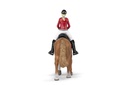 Cheval de promenade et sa cavalière PAPO