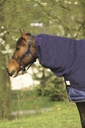 Couvre-cou polaire EQUITHÈME