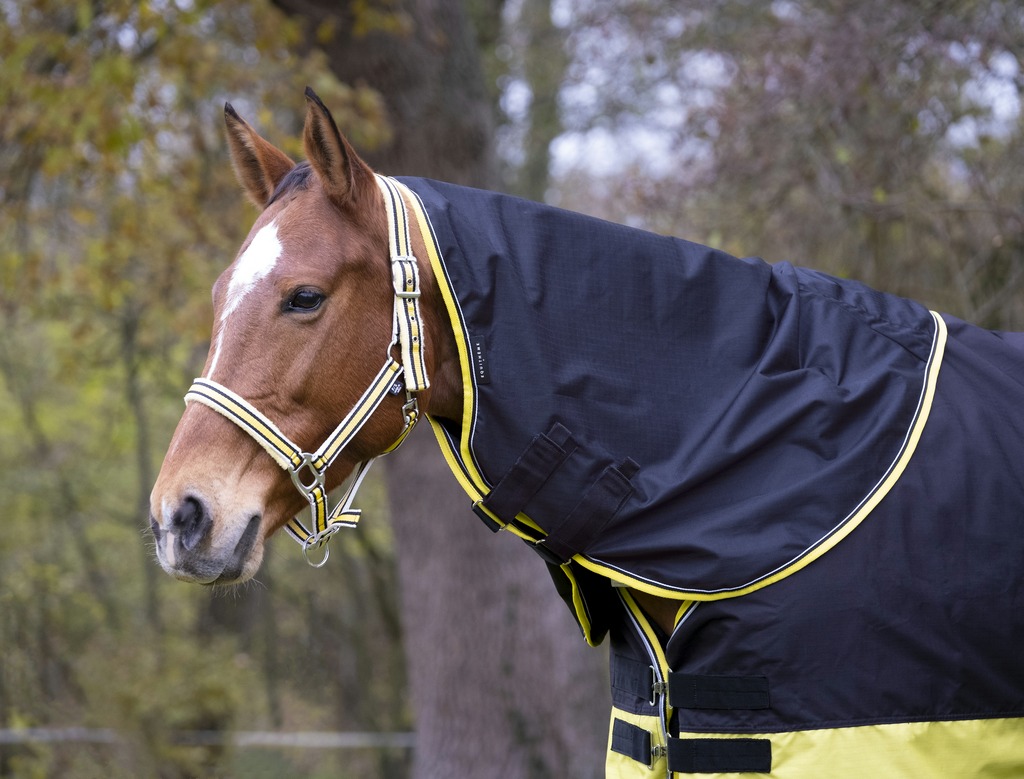 Couvre-cou EQUITHÈME "TYREX 600 D", 0g