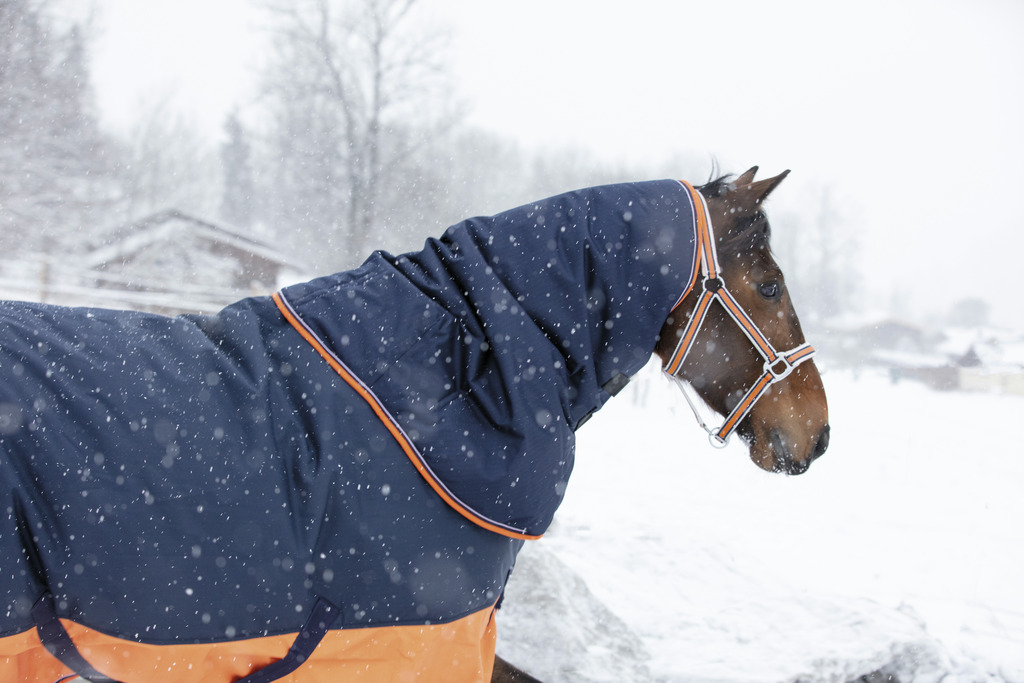 Couvre-cou EQUITHÈME "TYREX 600 D", 0g