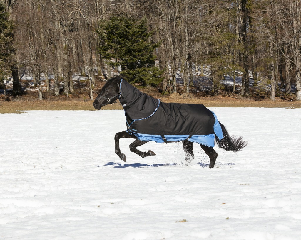 Couvre-cou EQUITHÈME "TYREX 600 D", 200g