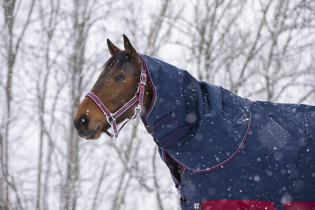 Couvre-cou EQUITHÈME "TYREX 1200 D", 200g