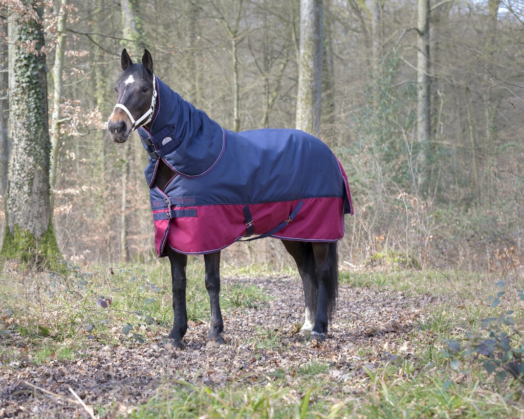 Couvre-cou EQUITHÈME "TYREX 1200 D", 200g