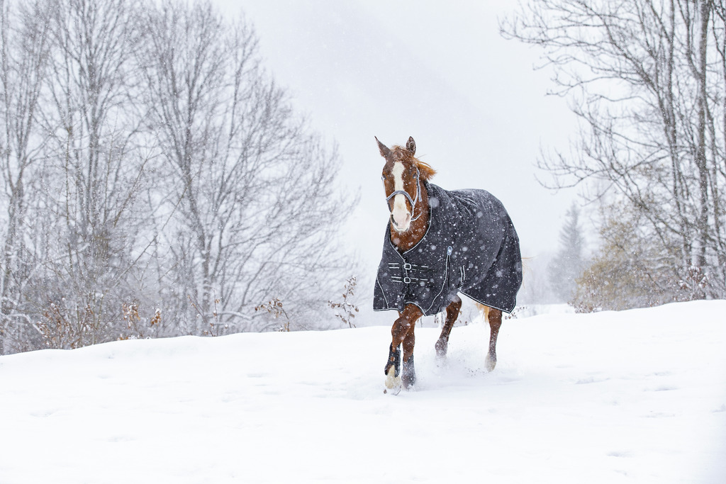 Couverture RIDING WORLD "Oxford" imperméable, 0g