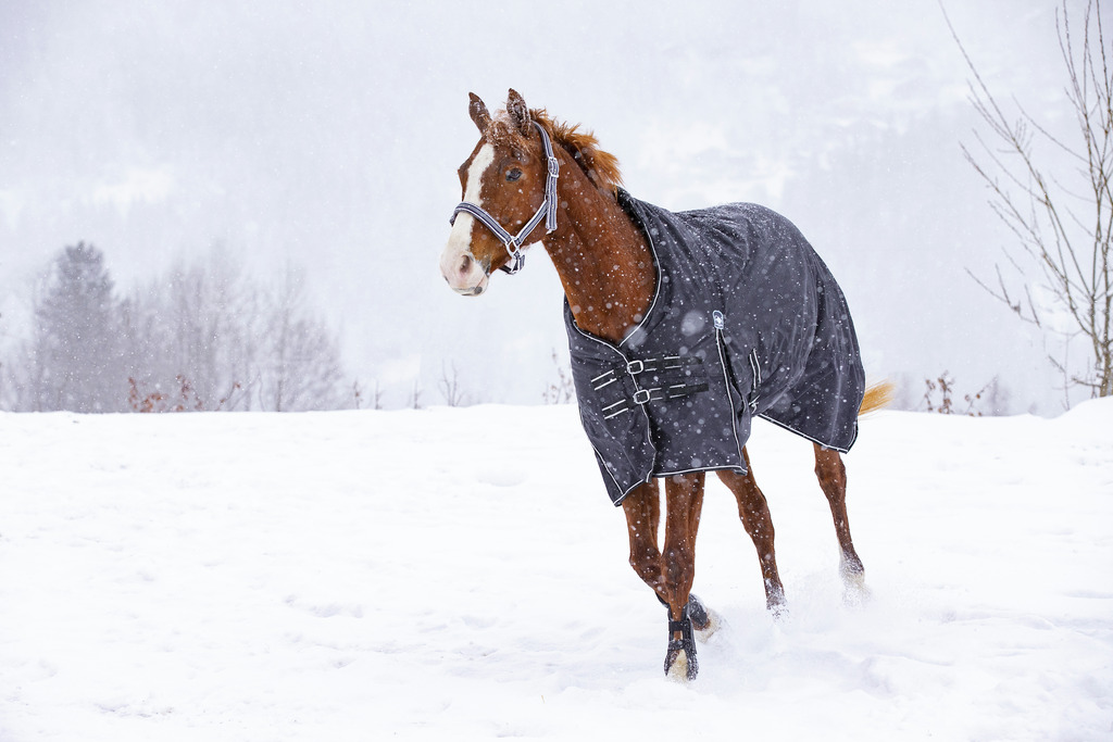 Couverture RIDING WORLD "Oxford" imperméable, 0g