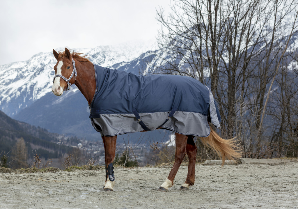 Couverture EQUITHÈME "TYREX 600 D", 150g High Neck
