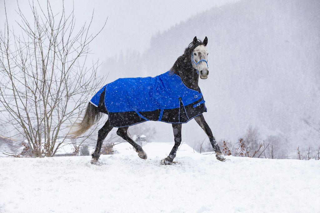 Couverture EQUITHÈME TYREX 1200D, 0g, "Aisance" High Neck