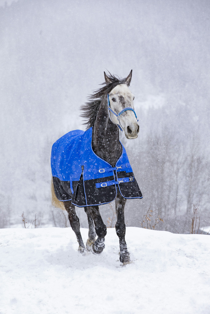 Couverture EQUITHÈME TYREX 1200D, 0g, "Aisance" High Neck