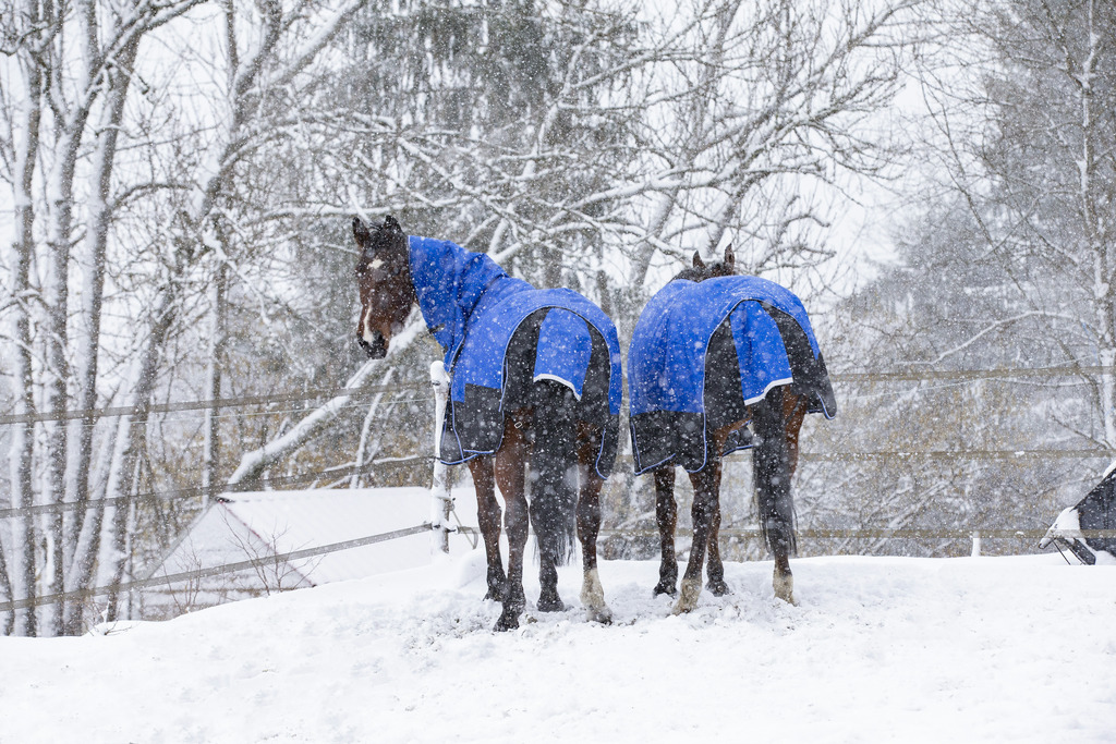 Couverture EQUITHÈME TYREX 1200D, 0g, "Aisance" High Neck