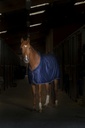 Chemise EQUITHÈME "Microfleece" standard
