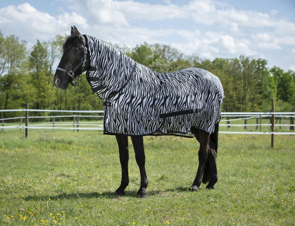 Chemise filet RIDING WORLD "Combo"