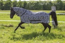Chemise filet RIDING WORLD "Combo"