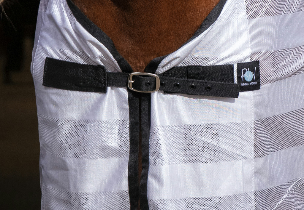 Chemise RIDING WORLD "Mesh"
