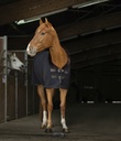 Chemise polaire EQUITHÈME "Teddy"